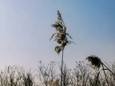 Bit4win Casino Aplicación móvil